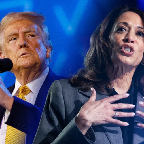 Kamala e Trump têm 48% em pesquisa a 5 dias da eleição nos Estados Unidos