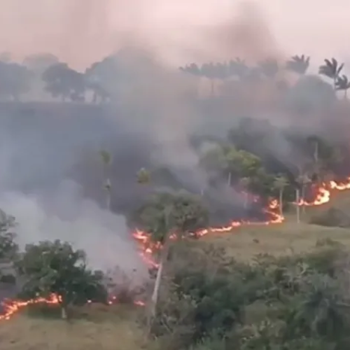 Incêndio destrói cerca de 300 metros de vegetação em Lagoa Seca, na Paraíba