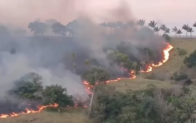 Incêndio destrói cerca de 300 metros de vegetação em Lagoa Seca, na Paraíba