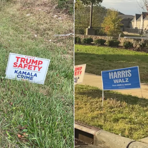 Trump e Kamala investem pesado em propaganda política por correspondência, placas e até em e-mails