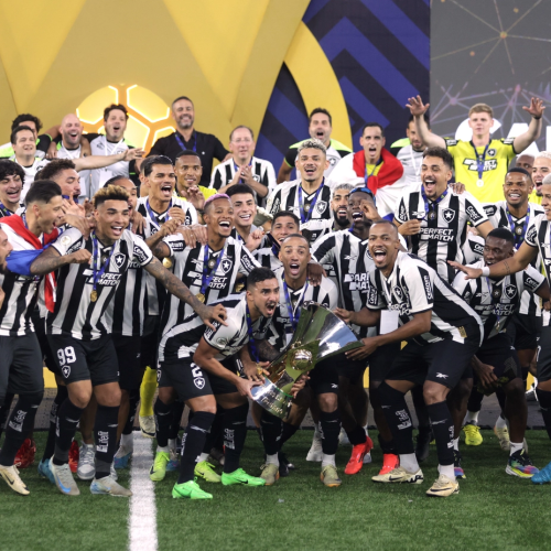 Após 29 anos, Botafogo volta a ser campeão brasileiro e conquista tricampeonato