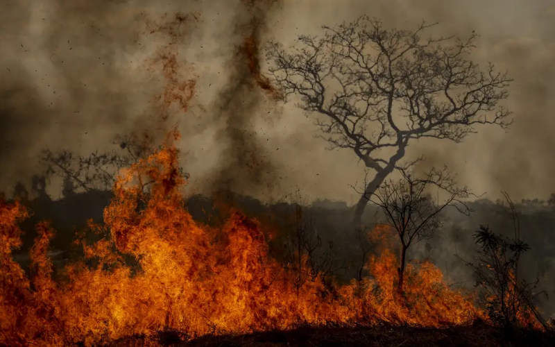 Desastres climáticos aumentaram 250% nos últimos quatro anos no país