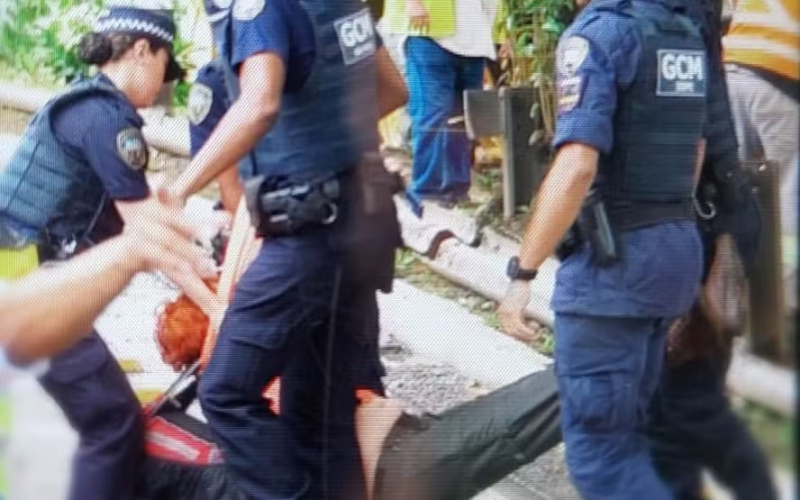 Vereadora eleita é arrastada por guardas municipais em protesto contra derrubada de árvores em SP