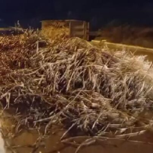 Caminhão carregado de cana de açúcar tomba na BR-101, em Mamanguape